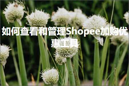 跨境电商知识:如何查看和管理Shopee加购优惠工具