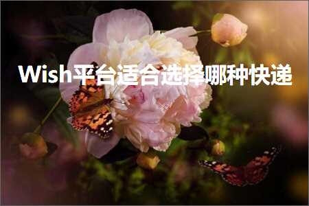 璺ㄥ鐢靛晢鐭ヨ瘑:Wish骞冲彴閫傚悎閫夋嫨鍝蹇€? width=