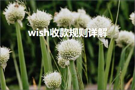 跨境电商知识:wish收款规则详解